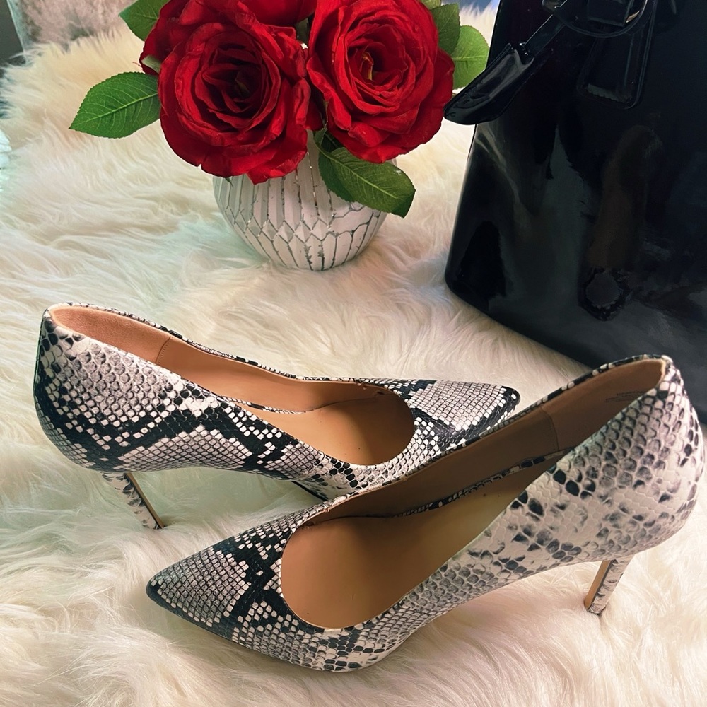 Classic Snake-Print Pointed Toe Pumps in Black & White